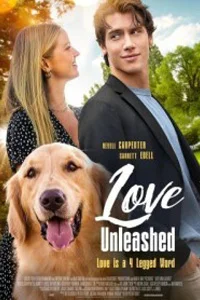 В поисках любви